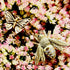 our signature, diamond-kissed<br>butterfly and bee enhancers <span class='visuallyhidden'>Call or text 323-404-2959 if you need shopping assistance.</span>